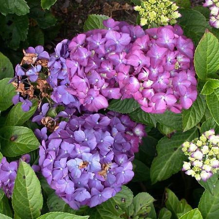 Wachtum Molenvoort B&B 외부 사진