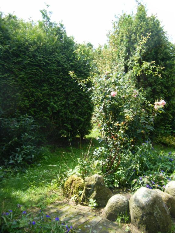 Wachtum Molenvoort B&B 외부 사진